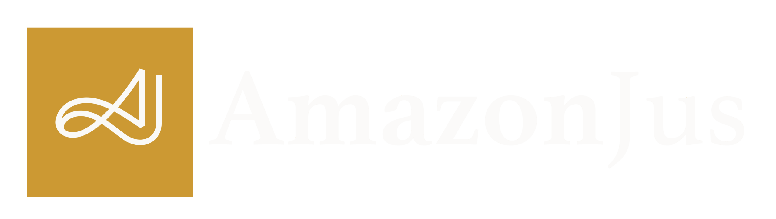 Direitos, Justiça e Política